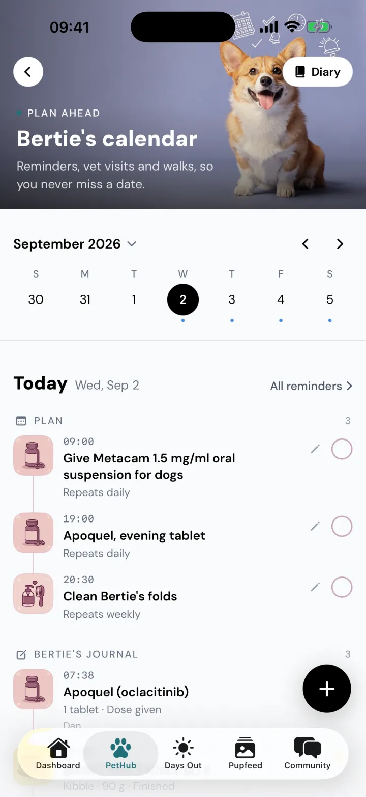 Bertie's calendar in Snootly for Wednesday 2 September: a plan of three repeating reminders, Metacam at 09:00, Apoquel at 19:00 and cleaning his folds at 20:30, with his journal below showing an Apoquel dose given.