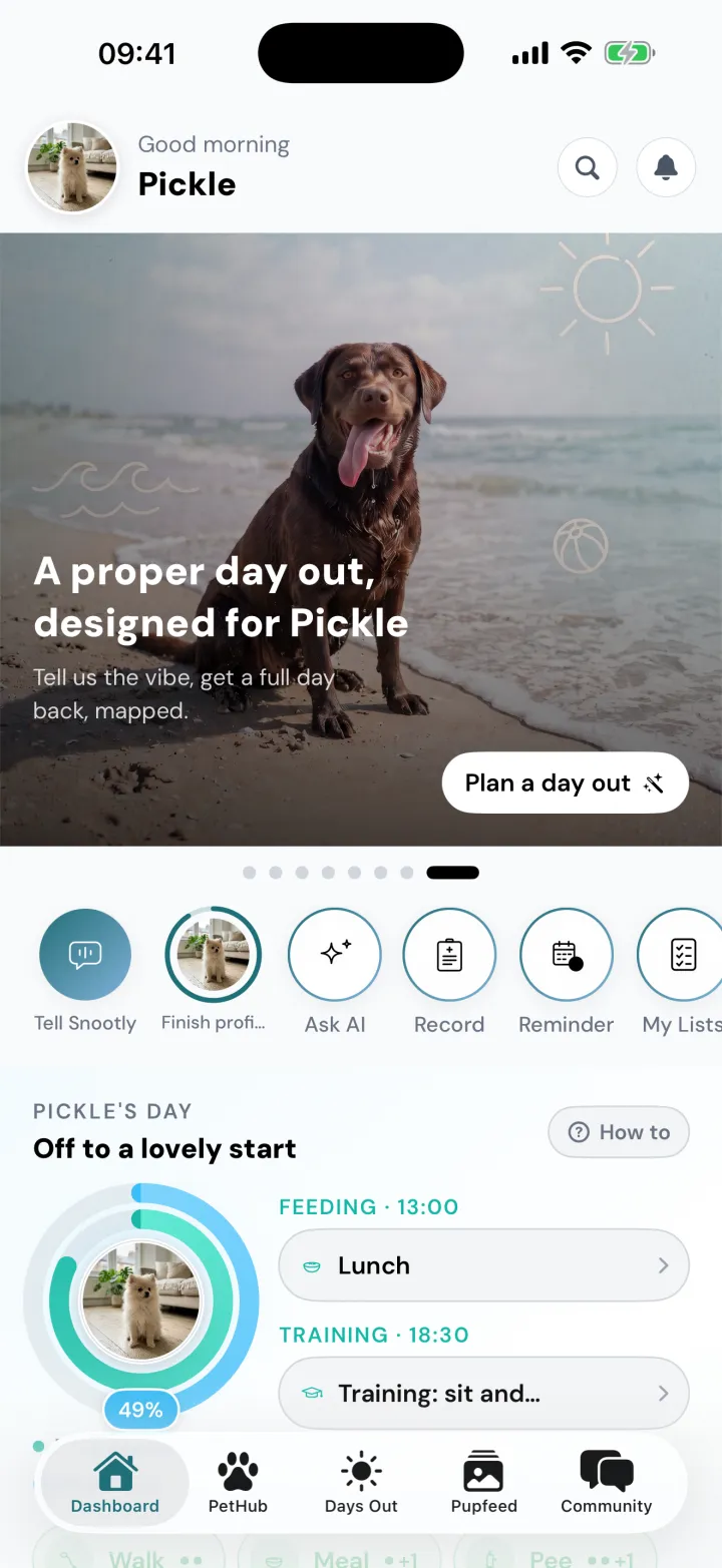 Snootly's home screen for Pickle, a Pomeranian puppy, leading with a card offering to design a day out for him