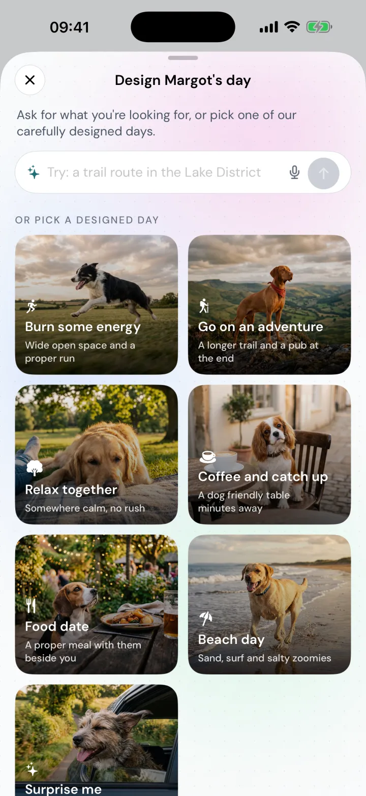 Design Margot's day, with an ask bar and seven designed days to pick from: Burn some energy, Go on an adventure, Relax together, Coffee and catch up, Food date, Beach day and Surprise me