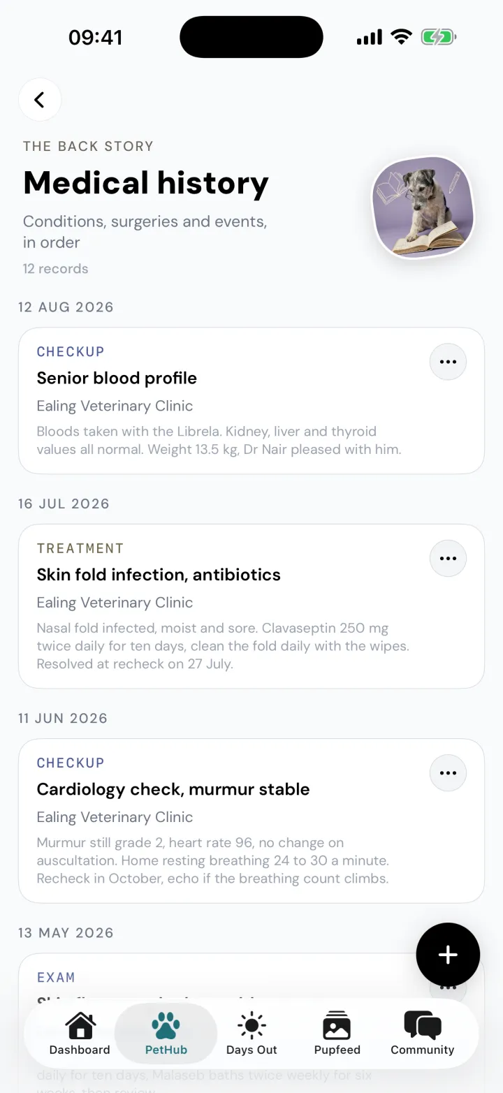 Bertie's Medical history page listing a senior blood profile, a skin fold infection treatment and a cardiology check.