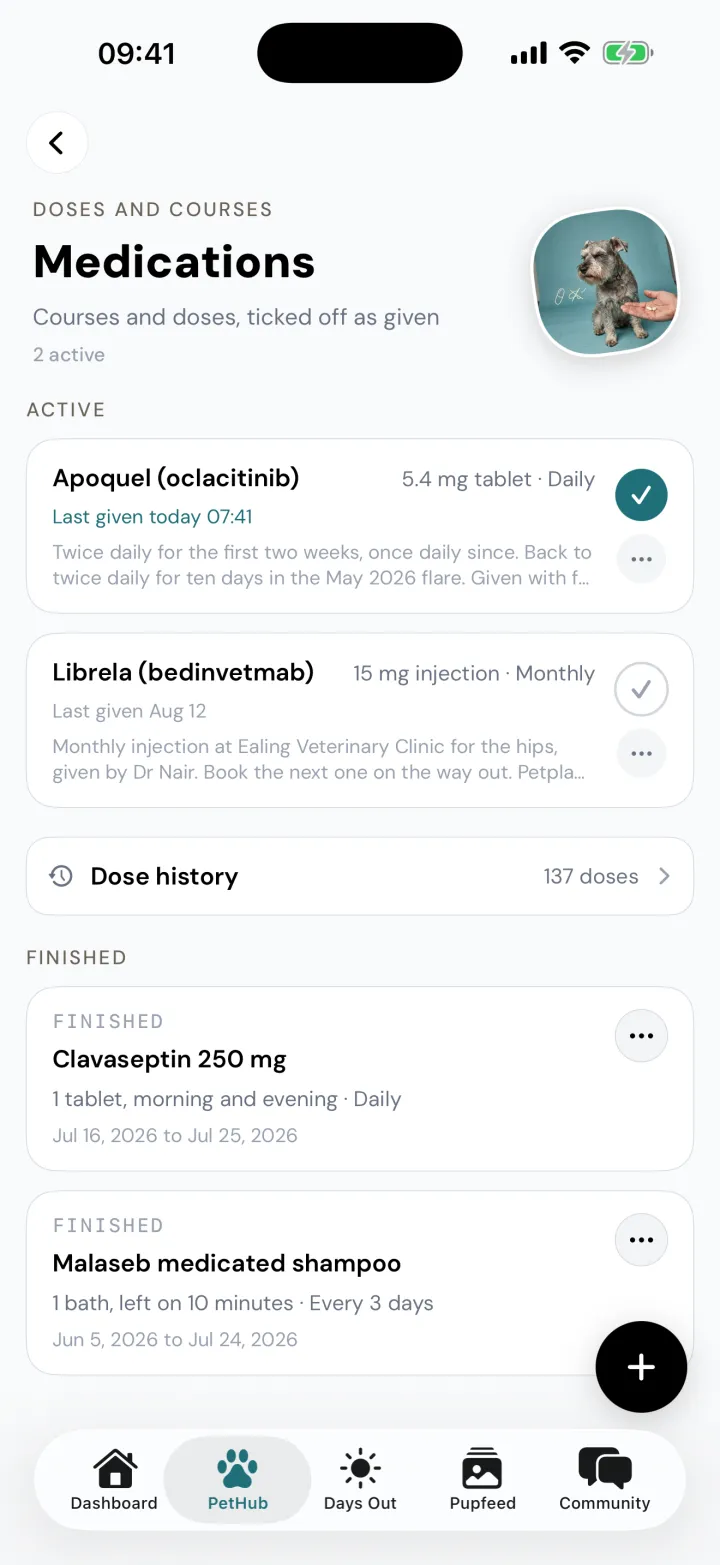 Bertie's Medications page with two active courses, Apoquel given today at 07:41 and Librela monthly, a dose history of 137 doses and two finished courses.