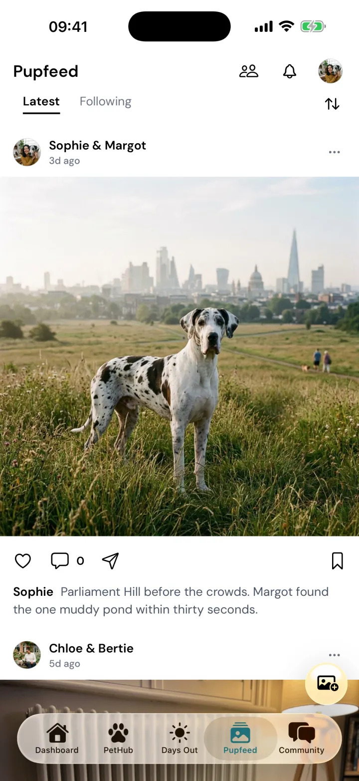 PupFeed in Snootly, with Sophie's photo of Margot the Great Dane on Parliament Hill at the top of the Latest tab