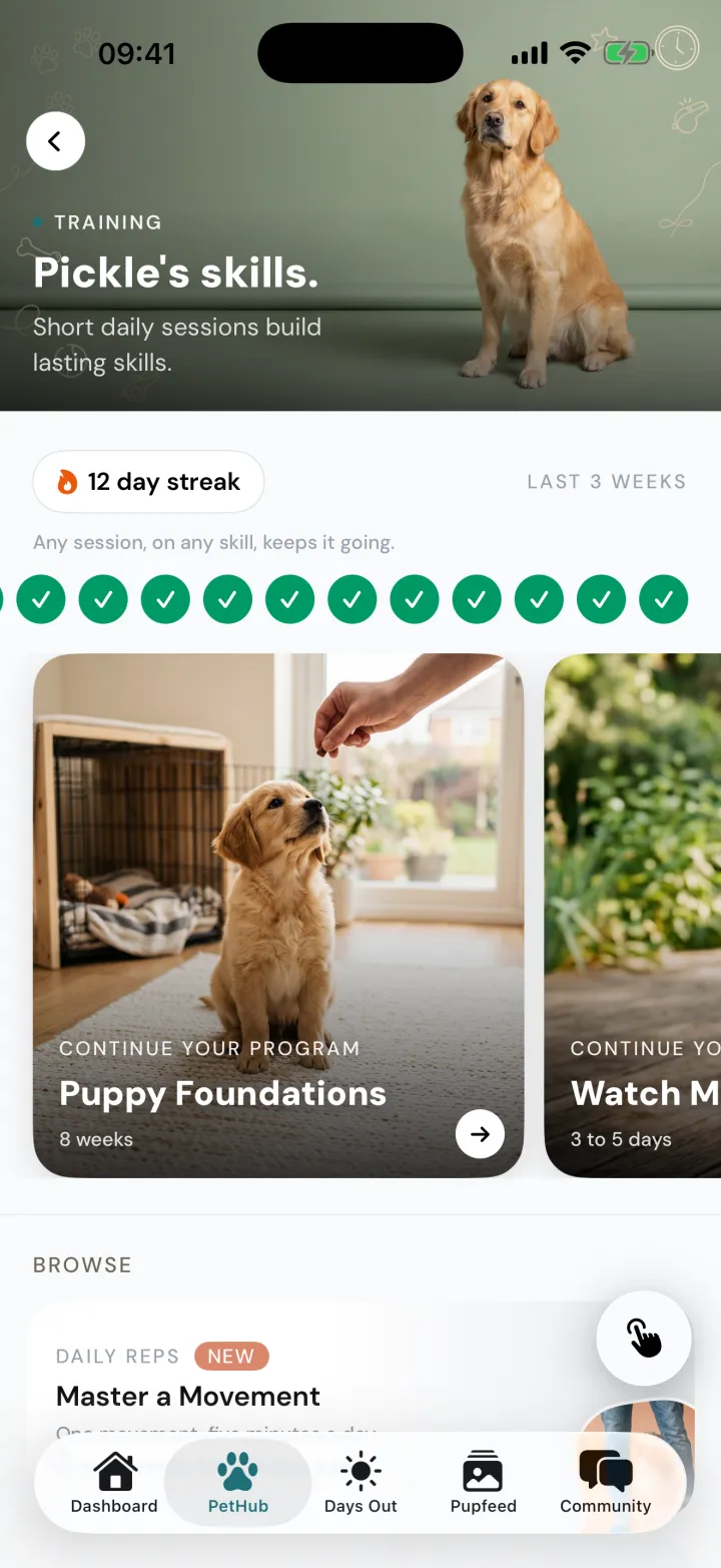 Snootly's training home for Pickle, with a 12 day streak and Puppy Foundations under continue your program.