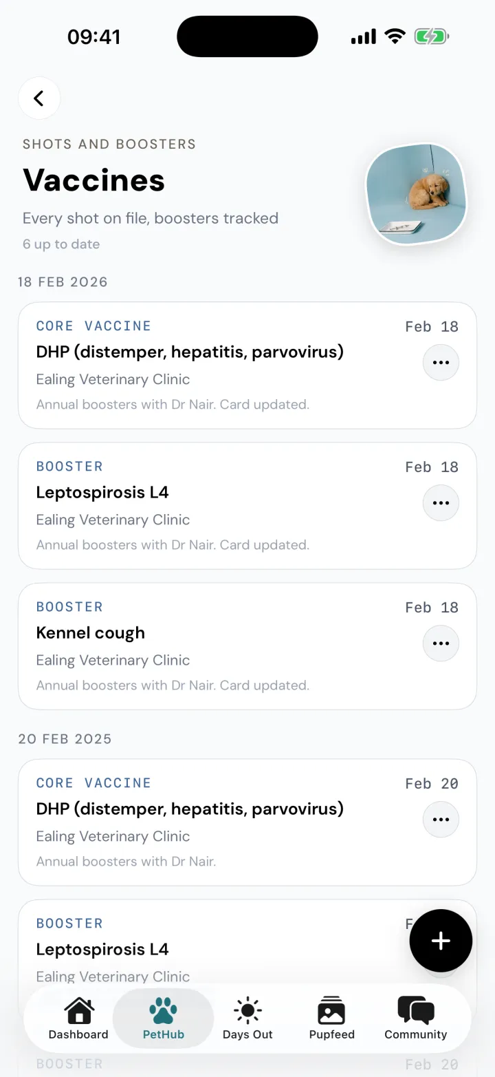 Bertie's Vaccines page in Snootly, six up to date: DHP, Leptospirosis L4 and kennel cough boosters given at Ealing Veterinary Clinic in February, with the year before listed underneath.